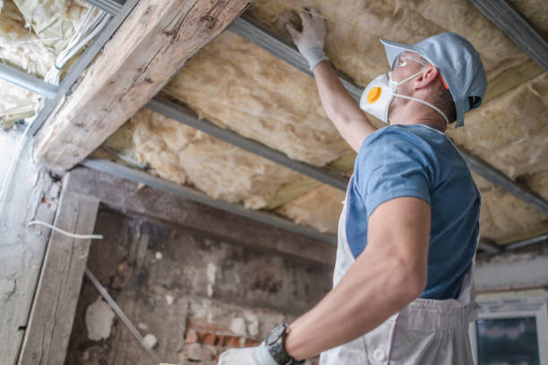 Professional Insulation Contractor in AL